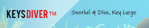 Keys Diver & Snorkel Tours